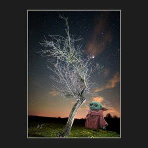 Baby Yoda  Fine Art Tree Print 8" x 10" Matted